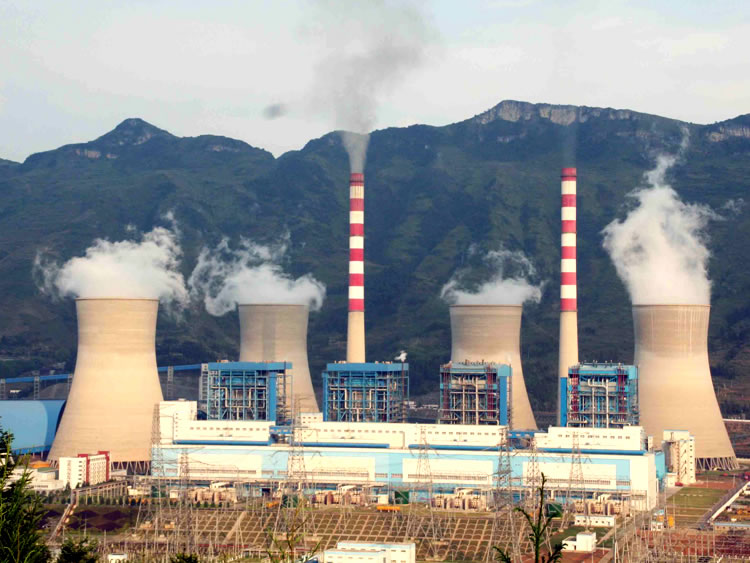 給煤機(jī)盤南電廠應(yīng)用現(xiàn)場(chǎng)